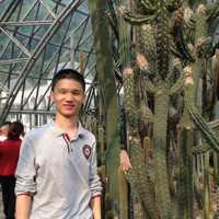 Jun Yang
