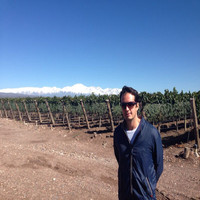 Joao Marcelo Pagnano