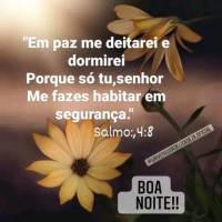 Gloriana Neto