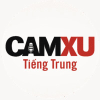Tiếng Trung Cầm Xu