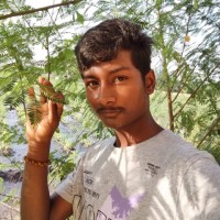 Barani Dharan