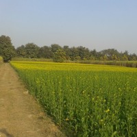Ankur Kumar