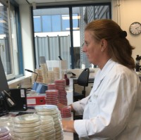 Jennifer Willemsen