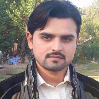 Hamid Raza