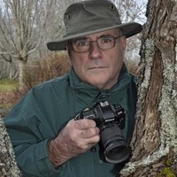Tom Juby