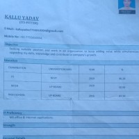 Kallu Yadav Yadav Kallu
