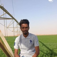 Abubaker Mohamed
