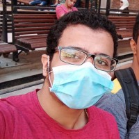 Ahmed Esmael Gamal