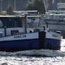 Thimo Hillaert