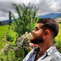 Mahdi Shamsedini