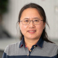 Ying Liu