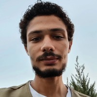 Ahmed Hosni