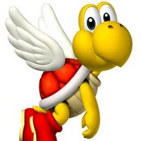 flying turtle corporation