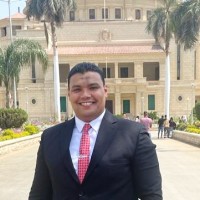 Mostafa Farghaly Abbas, Dba, Mba, Cma®, Fmva®