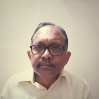 Dipankar Roy