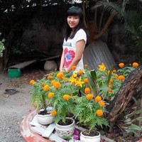 Suong Nguyen