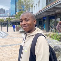 Bongani Detilisi