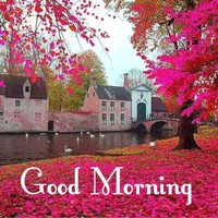 Mohsin Raza