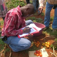 Maurice HABIMANA