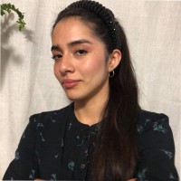 Dinorah Erandi Jaimes Campos