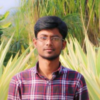 Pralay Biswas