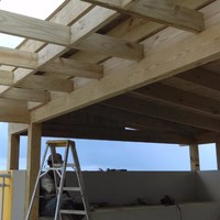 alexander Henríquez