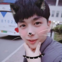 廉壮壮