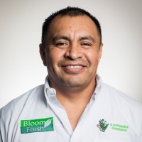 Bardo Salazar