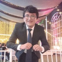 FREDDY VICERREL SAMAN