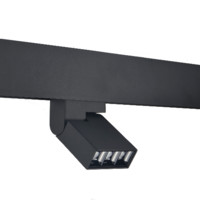 Jane Lee （Interior lighting supply)