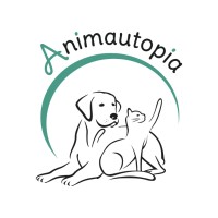 Animautopia Formation