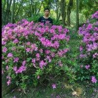陈家究