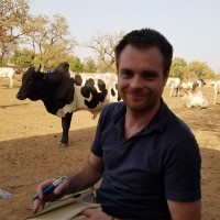 Gaël Lamielle, Dvm, Mph, Dipl Acvpm