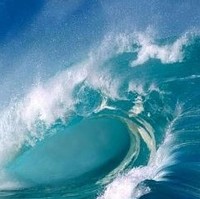 The Wave