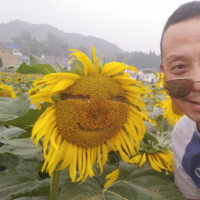 王宏宾