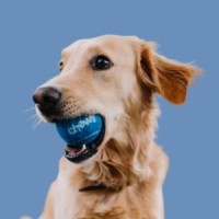 Tester QA