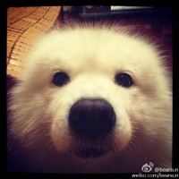 Si Jie Sun