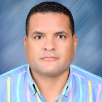 Yasser Elsheikh, Portfolio / Program Director,( Pfmp, Pmp, Pmo )