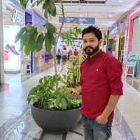 Dinesh Kumar Mehta