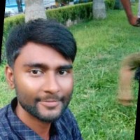 Md Polash Mahamud