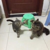 梁书涵
