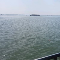 Boya Pallavi