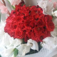 Guria Amal