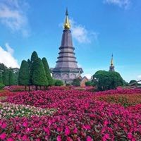 钟付琴