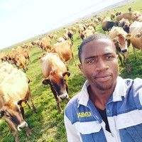 Thandanani Mthethwa