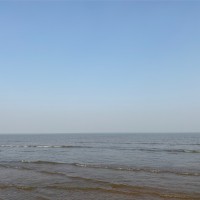 刘Ti