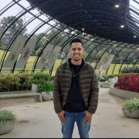 José Luiz Reis Neto