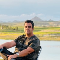 Mehdi Sheidaee