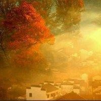 何学良