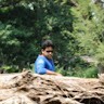 Mohana Rangan A